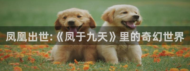 汗汗漫画免费版在线阅读：凤凰出世:《凤于九天》里的奇幻世界