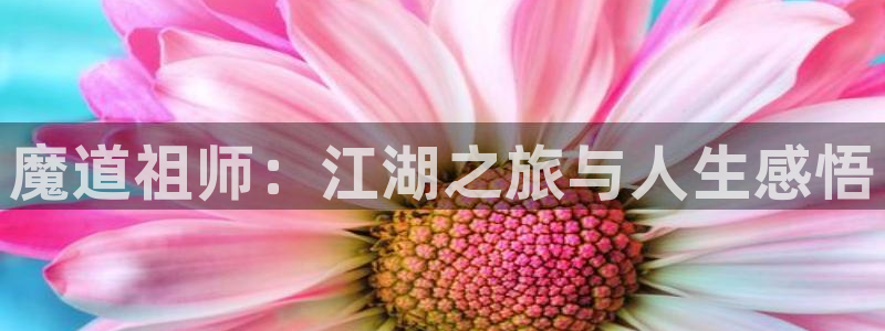 汗汗漫画专注风车动漫的门户网站手机版：魔道祖师：江湖之旅与人生感悟