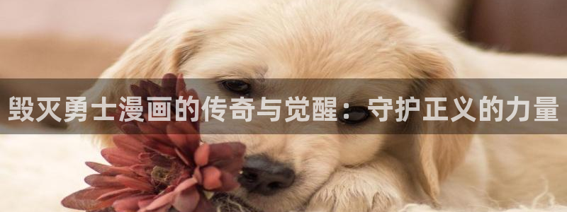 汗汗漫画首页登录入口页面在哪里找：毁灭勇士漫画的传奇与觉醒：守护正义的力量