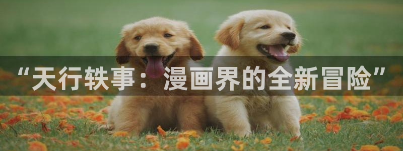 汗汗漫画专注动漫的门户网站手机版：“天行轶事：漫画界的全新冒险”