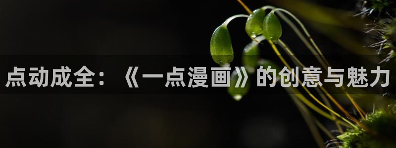 咒术回战漫画汗汗漫画：点动成全：《一点漫画》的创意与魅力